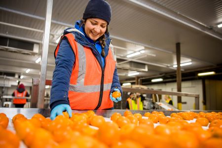 Lineage Fresh facilities and team members work hard to ensure fruits, vegetables, and produce stay fresh, all the way to the dinner table.